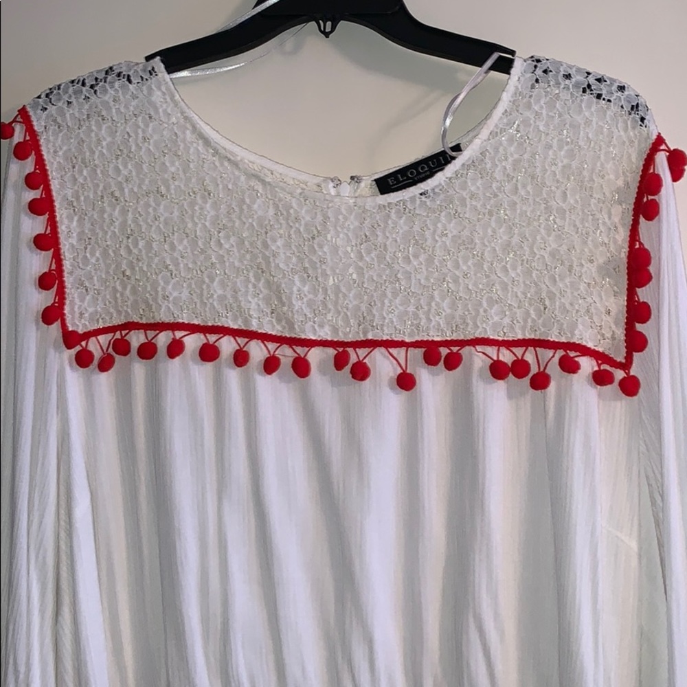 NWT Fit and Flare Dress with Pom Poms Moving Sale - Picture 2 of 2